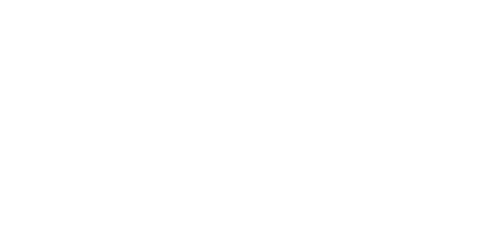 Steinweg Group
